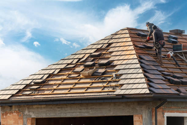 Best Roof Moss and Algae Removal  in Wrightsville Beach, NC